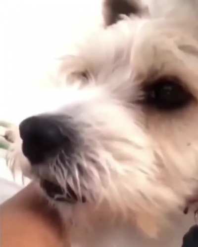 Cad&ecirc; a m&aacute;scara?