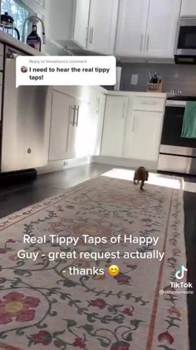 Tippy taps