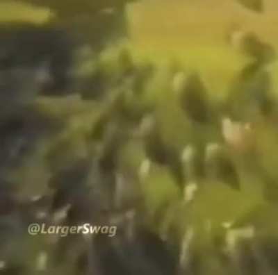 :d