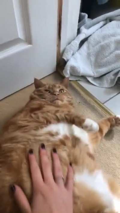 bigboybigboybigboybigboy