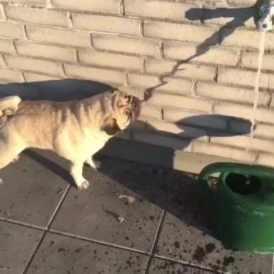 To get a drink