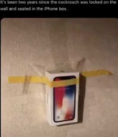 It&rsquo;s been 2 years since the cockroach was locked to the wall and sealed inside the iPhone box