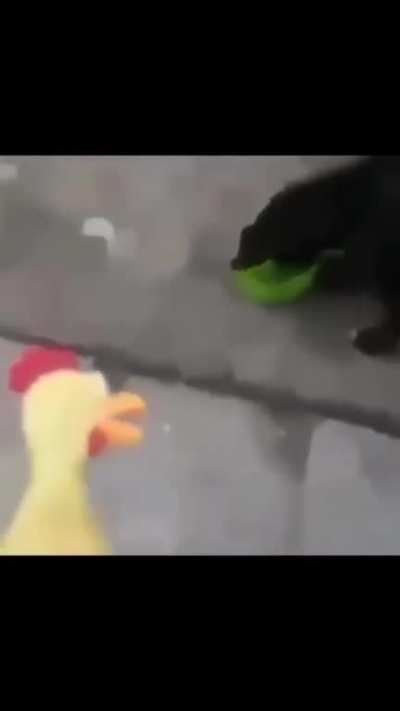 Why