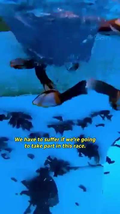 Alone at sea for 9 months.