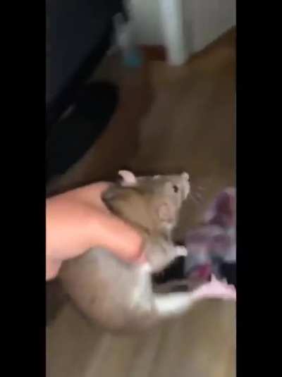 :D