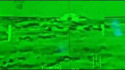 Bird just "naturally" intercepting a missile.