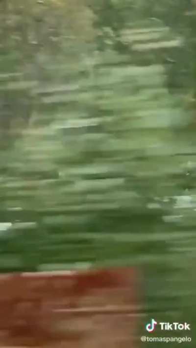 Tom cruise sitting on a train!