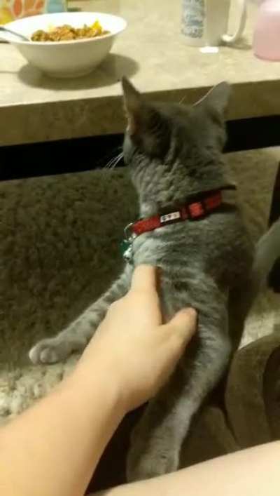 MEO-