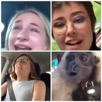 Perfectly cut Karens