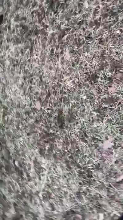 It&rsquo;s hunting season!