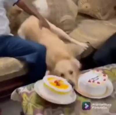 It was all an Act!