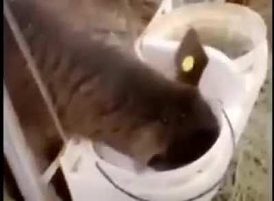 Delicious