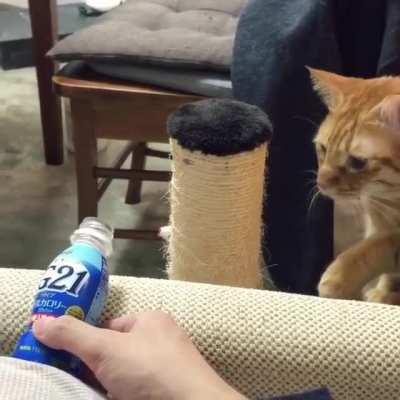 ..........TAP!