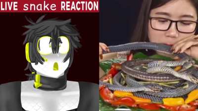 Snake-Kun Reacts to Snake Mukbang