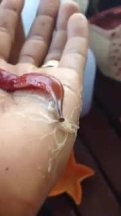 Ayanaaaamiiii!!!