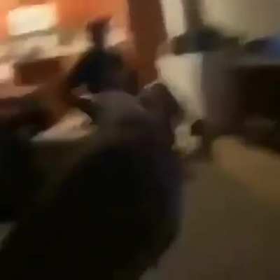 WTF DOG FLICK