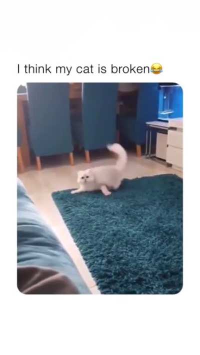 😂😂