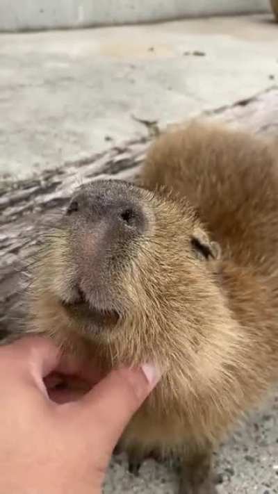&lrm;
