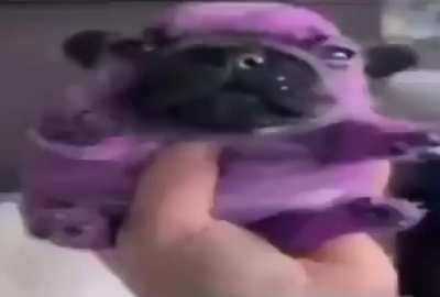 Eeby deeby