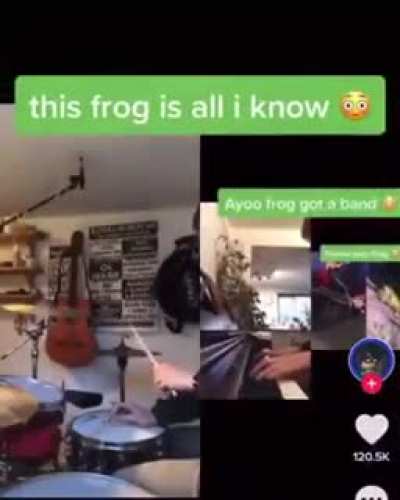 Frog the musical 🎵