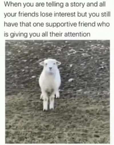 meirl