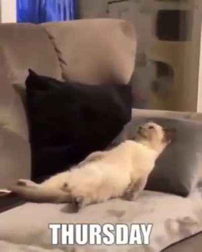 Same shit every day