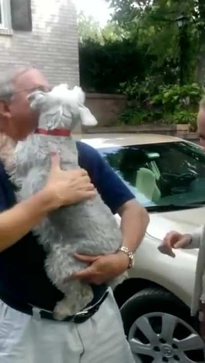 Dog in sheer bliss after seeing the owner for the first time in 2 years &middot; Very very old but pure gold