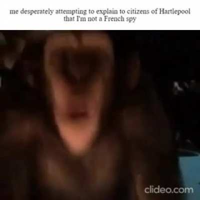 so that's why they call you guys "monkey hangers"