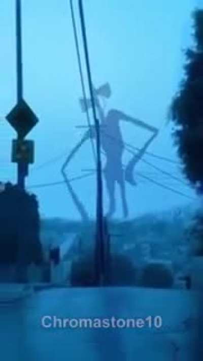 sirenhead