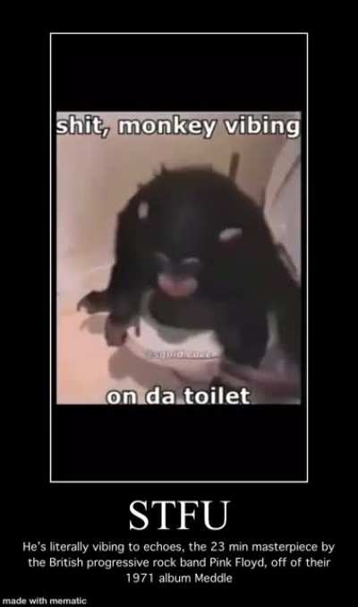 Seamus (that&rsquo;s the monkey)