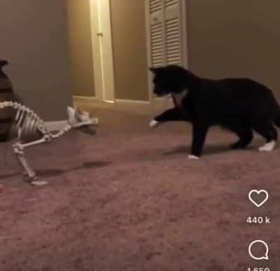 Truthfully I&rsquo;d be scared too