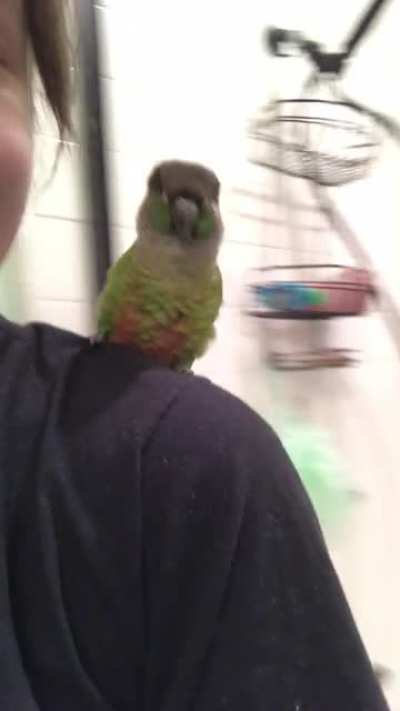 shower dance