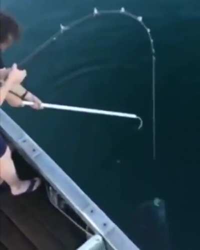 american fishing be like