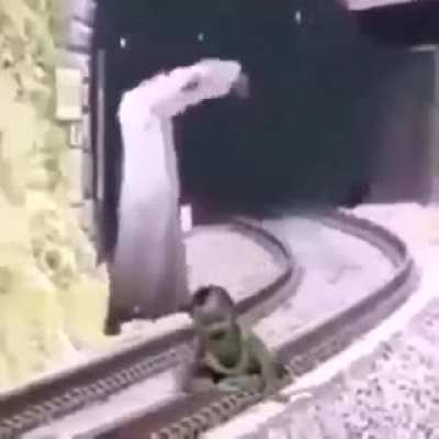 kevin