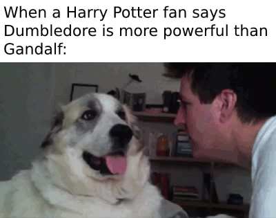 F Harry, f Dumbledore