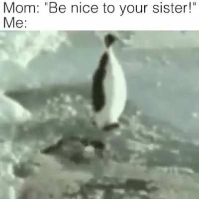 Mom: "Be nice with your brother!" Me: ...
