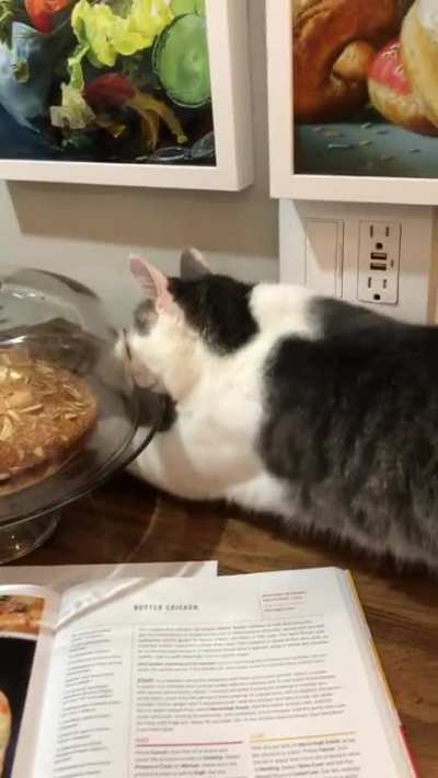 When all you want is cake