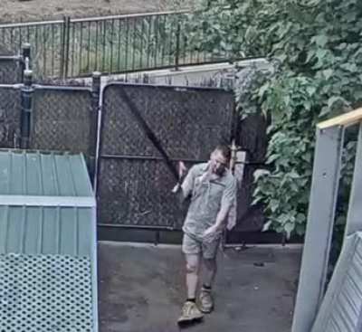 Livestream at Melbourne Zoo.