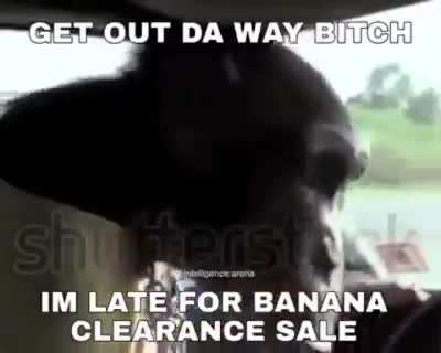 get out the way!
