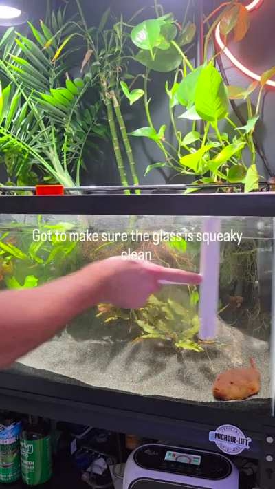Part 2 of the video