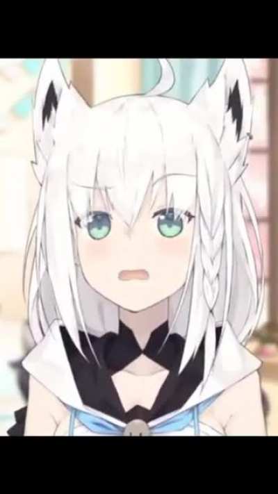 Good morning Fubuki