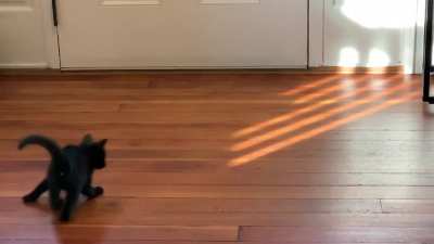 LIGHT MONSTER!