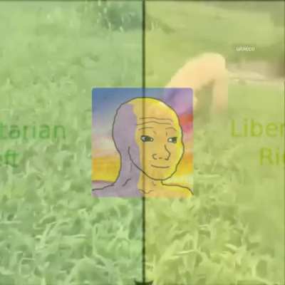 Lib-center utopia