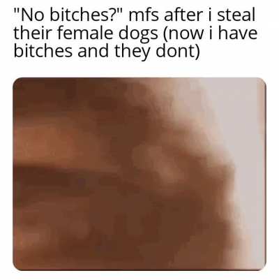yes bitches