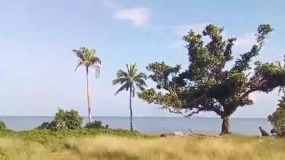 Tonga Volcano Eruption Sonic Boom heard in Fiji almost 700km away. Reports are that the Sonic Boom could be heard in New Zealand too on the upper north island.
