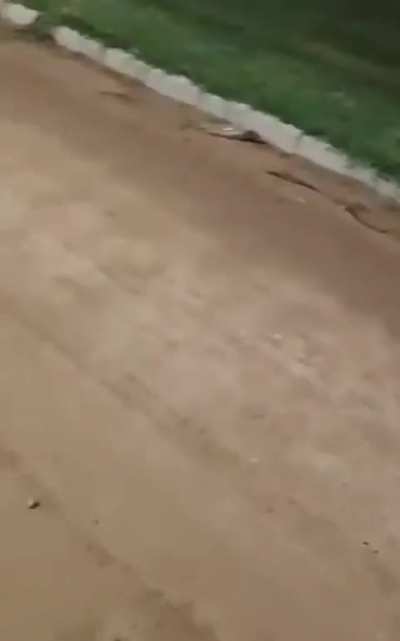Baiano mais fraco do SENAI 