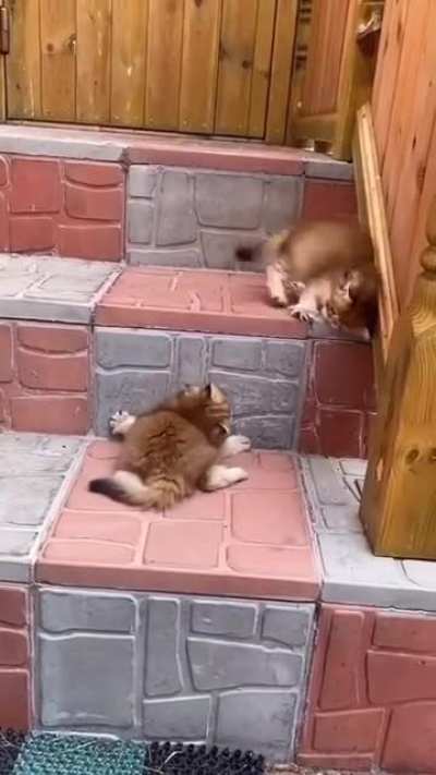I boss of the steps