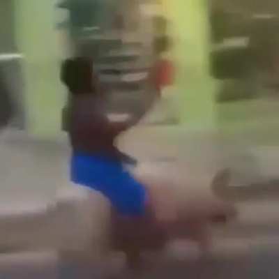 Monta puercos