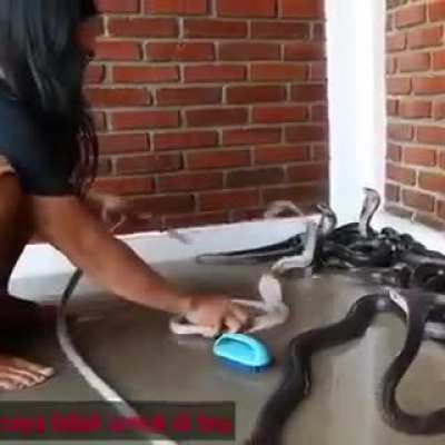 It&rsquo;s bath time for&hellip; snakes!