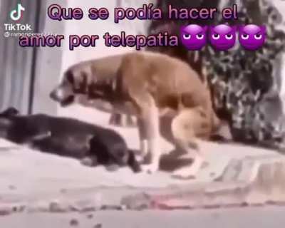 Oohh siii